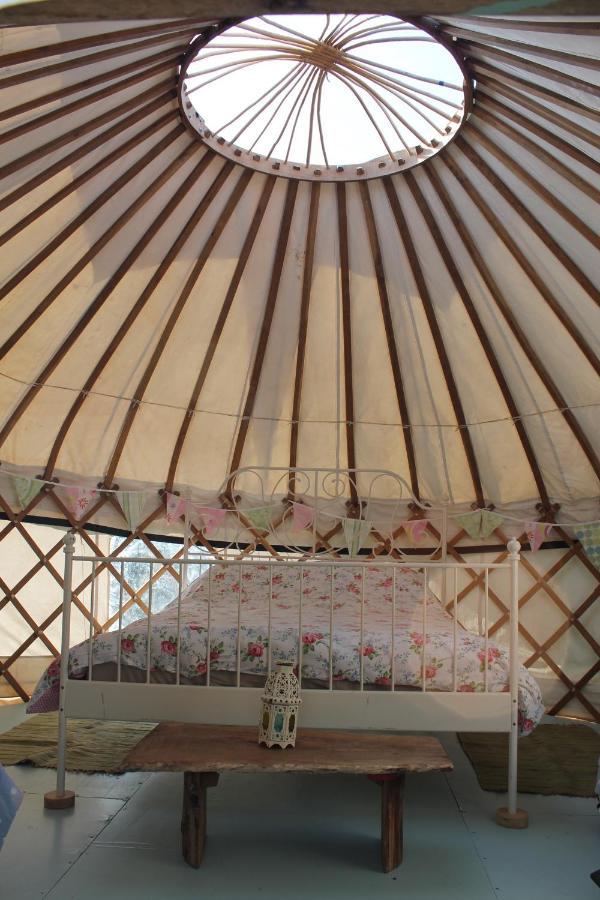 Mill Haven Place Glamping-Yurt 2 Haverfordwest Zewnętrze zdjęcie