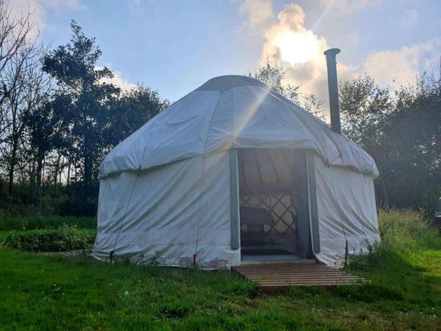 Mill Haven Place Glamping-Yurt 2 Haverfordwest Zewnętrze zdjęcie