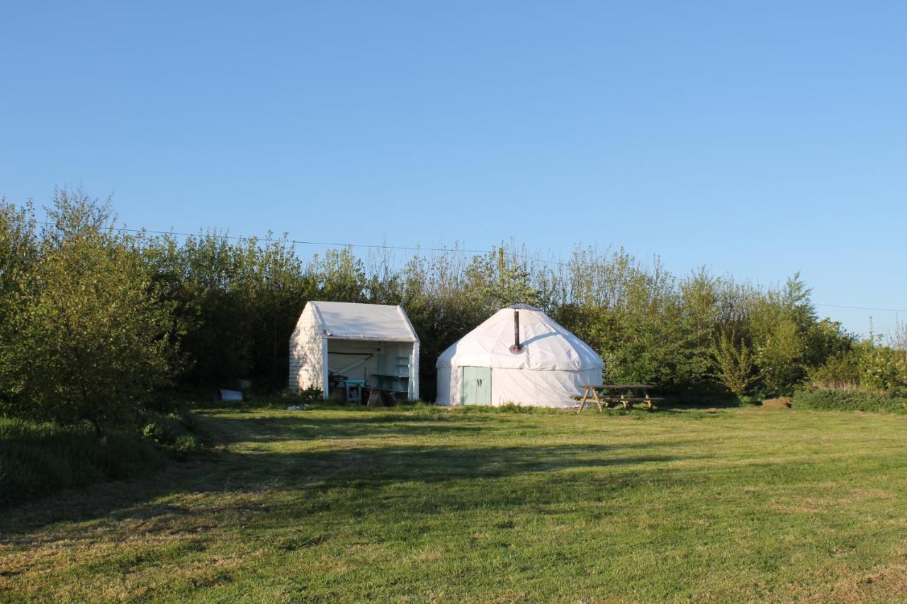 Mill Haven Place Glamping-Yurt 2 Haverfordwest Zewnętrze zdjęcie