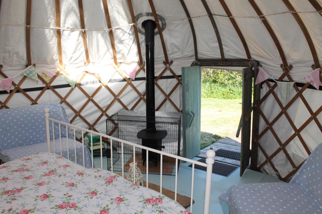 Mill Haven Place Glamping-Yurt 2 Haverfordwest Zewnętrze zdjęcie